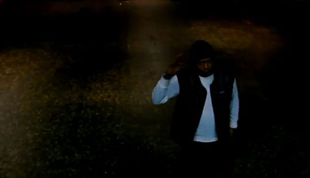 Public Enemy - Everything (video)
